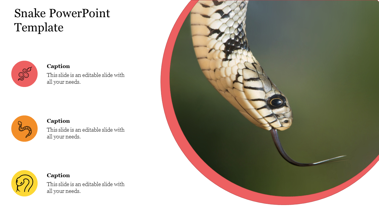 get-now-creative-snake-powerpoint-template-slide